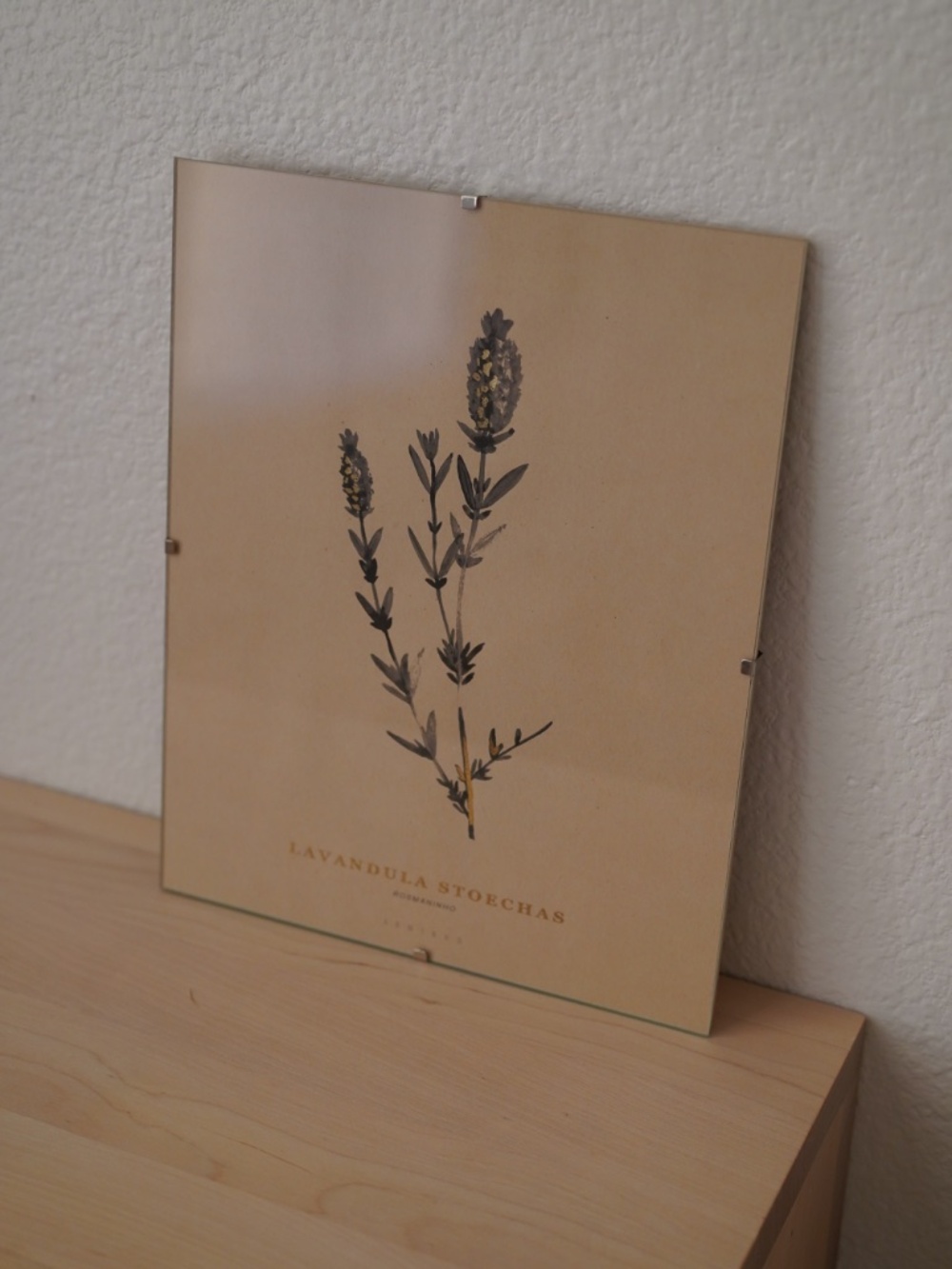 Framed Lavender Print
